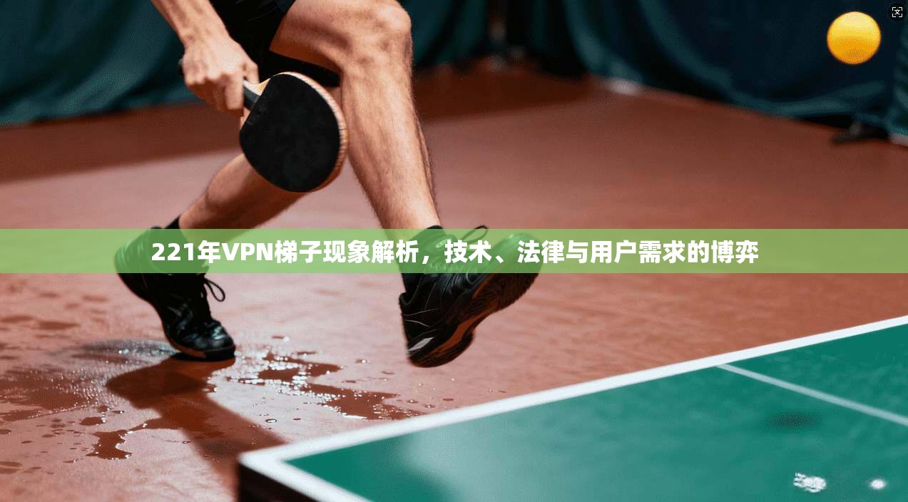 221年VPN梯子现象解析，技术、法律与用户需求的博弈