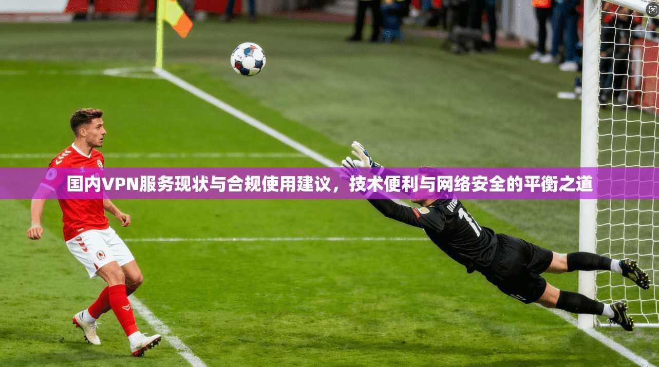 国内VPN服务现状与合规使用建议，技术便利与网络安全的平衡之道