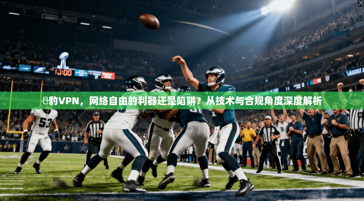黒豹VPN,网络自由的利器还是陷阱?从技术与合规角度深度解析 黒豹VPN,网络自由的利器还是陷阱?从技术与合规角度深度解析