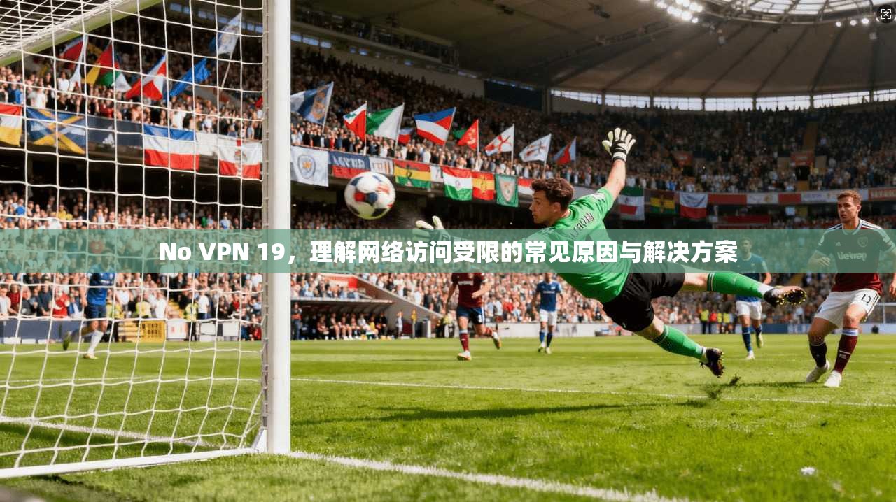 No VPN 19，理解网络访问受限的常见原因与解决方案
