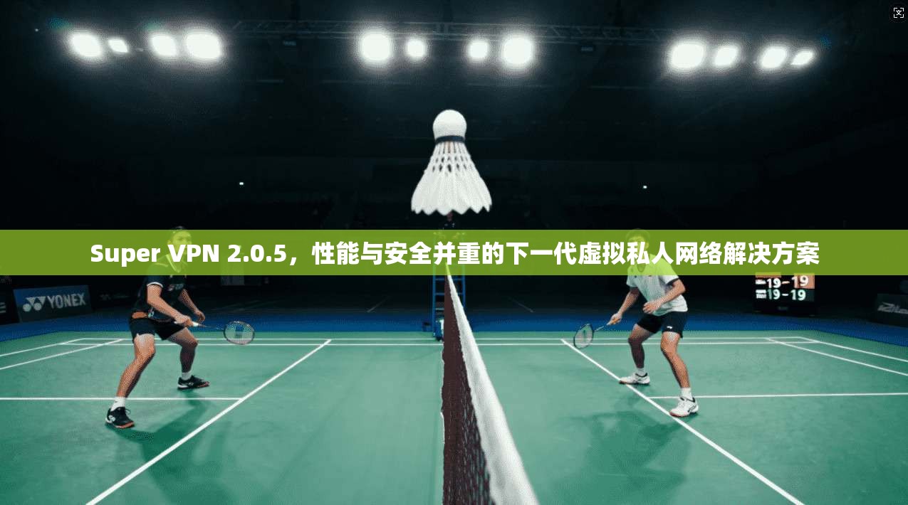 Super VPN 2.0.5，性能与安全并重的下一代虚拟私人网络解决方案
