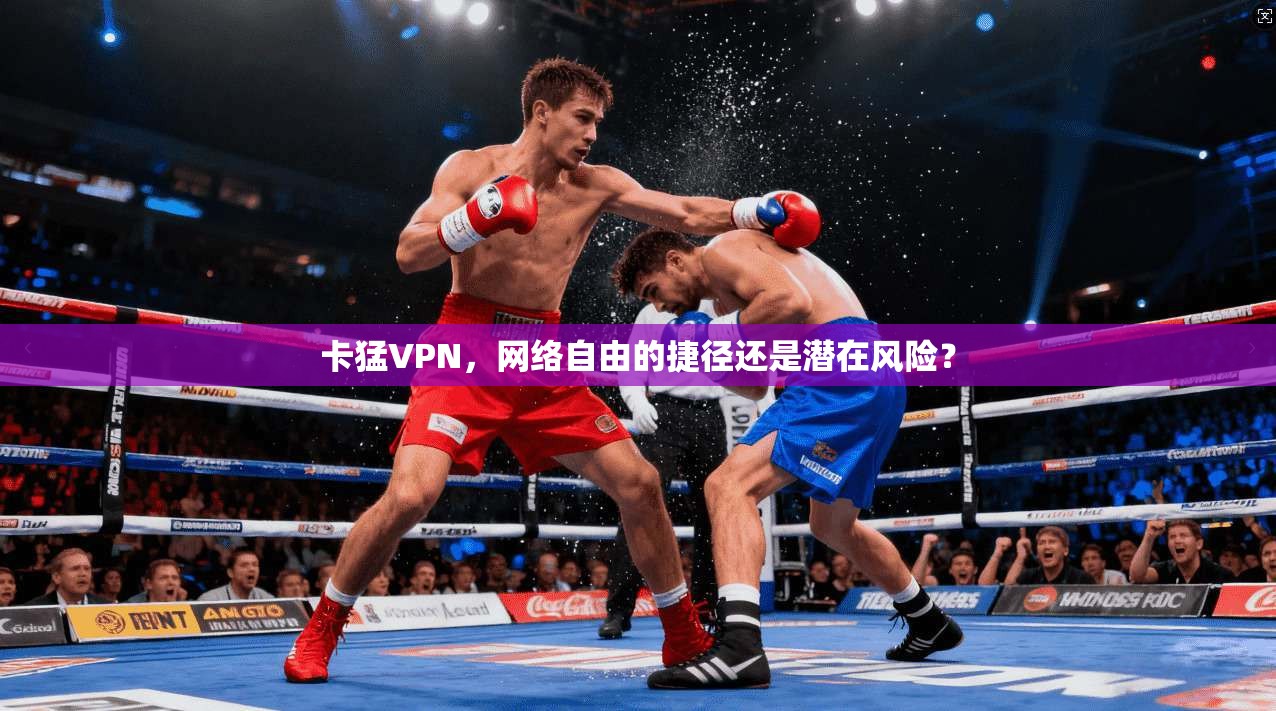 卡猛VPN，网络自由的捷径还是潜在风险？