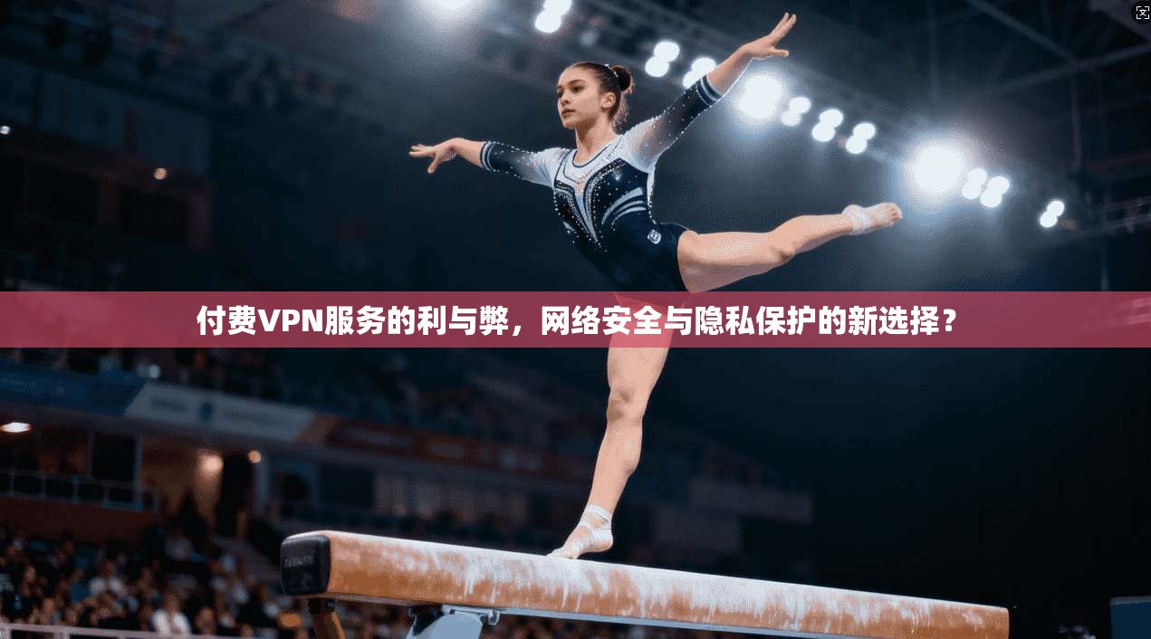 付费VPN服务的利与弊，网络安全与隐私保护的新选择？