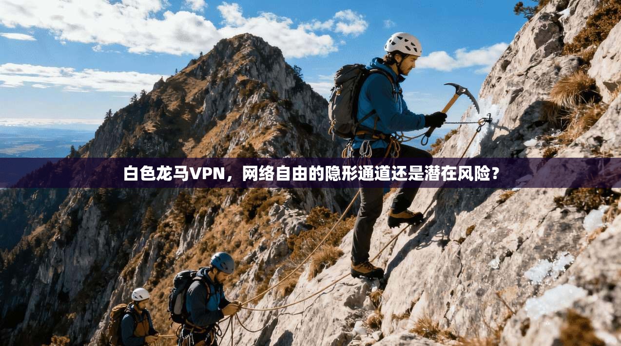 白色龙马VPN，网络自由的隐形通道还是潜在风险？