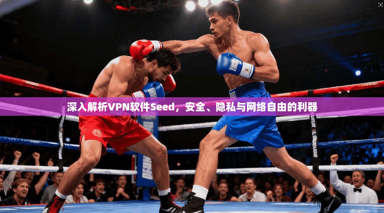 深入解析VPN软件Seed，安全、隐私与网络自由的利器