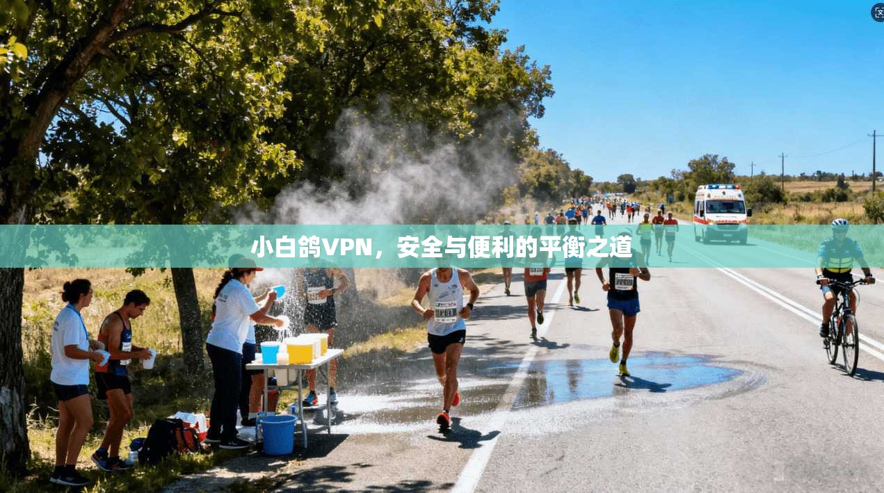 小白鸽VPN，安全与便利的平衡之道