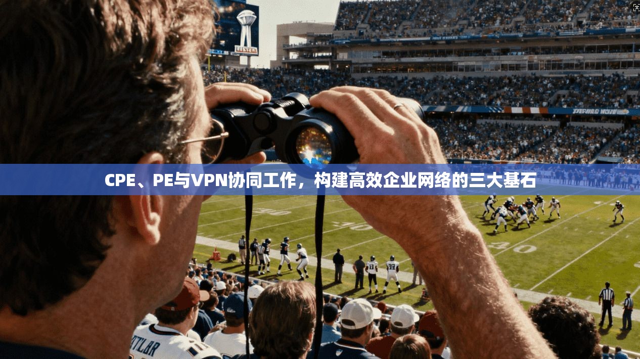 CPE、PE与VPN协同工作，构建高效企业网络的三大基石