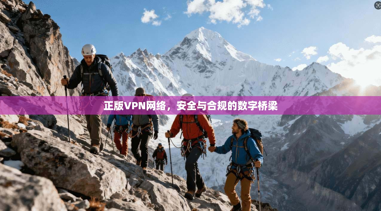 正版VPN网络，安全与合规的数字桥梁