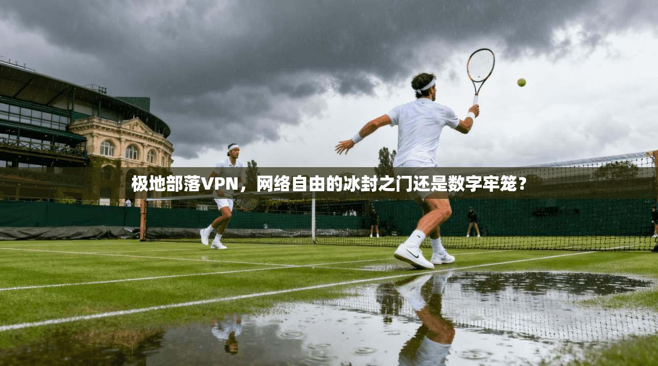 极地部落VPN，网络自由的冰封之门还是数字牢笼？