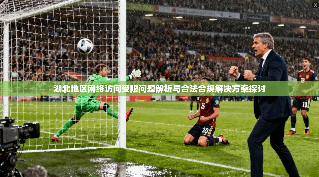 湖北地区网络访问受限问题解析与合法合规解决方案探讨