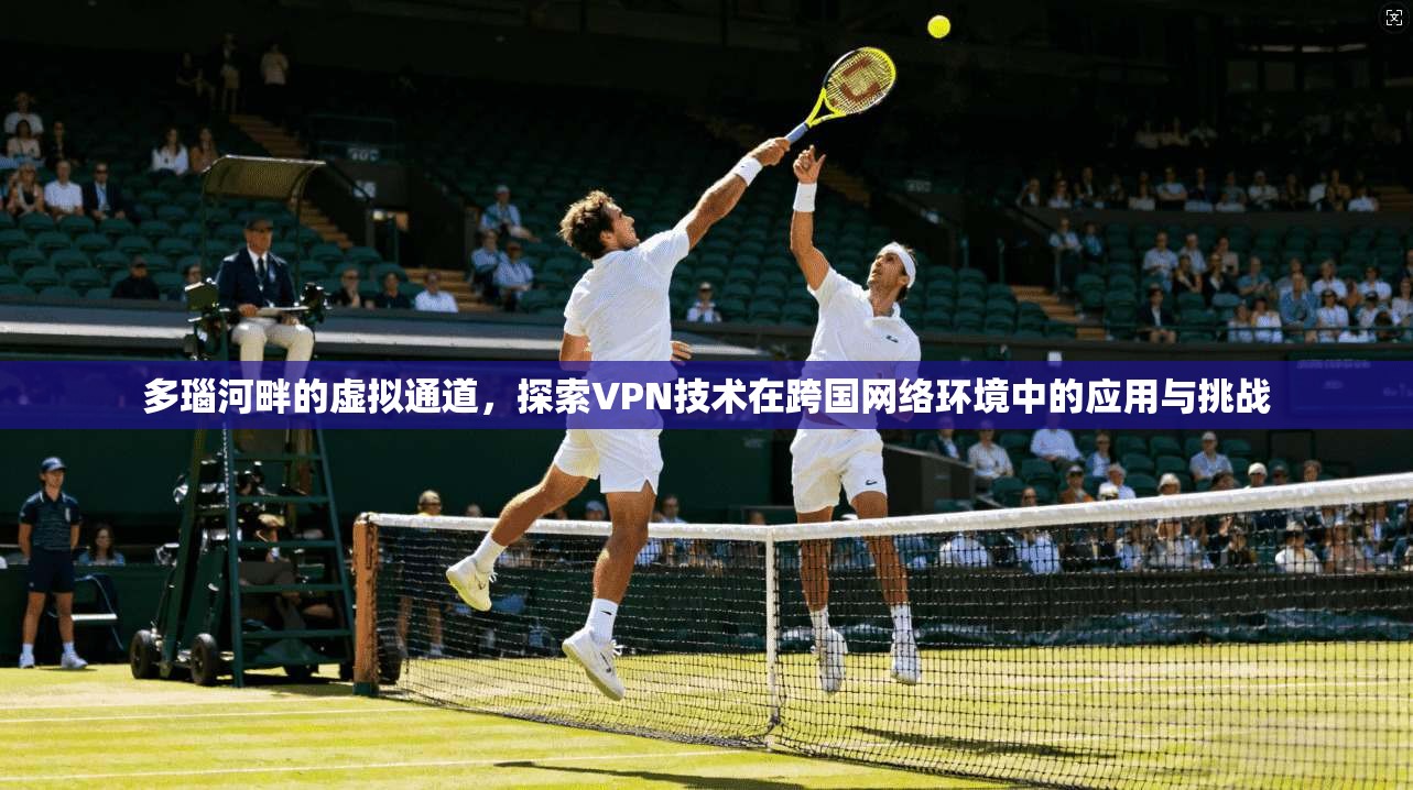多瑙河畔的虚拟通道，探索VPN技术在跨国网络环境中的应用与挑战