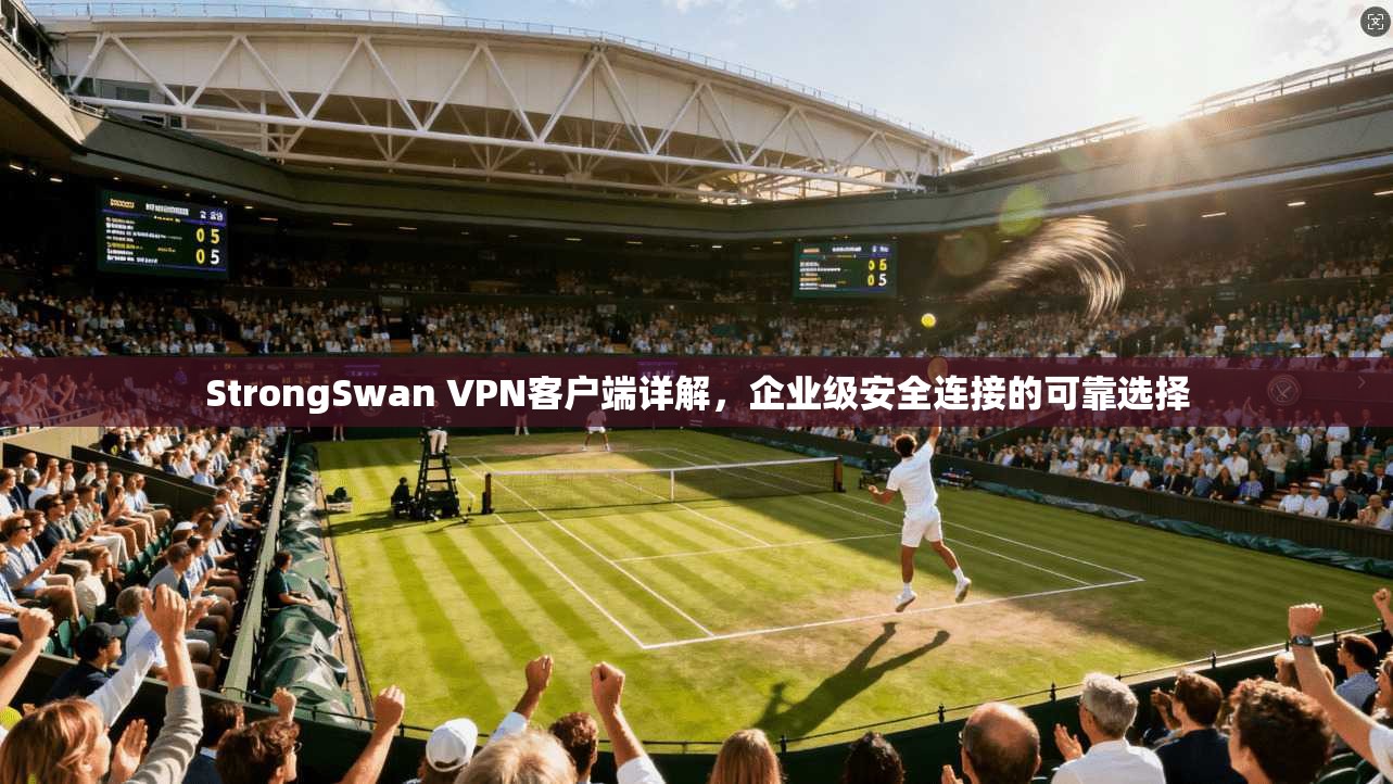 StrongSwan VPN客户端详解，企业级安全连接的可靠选择