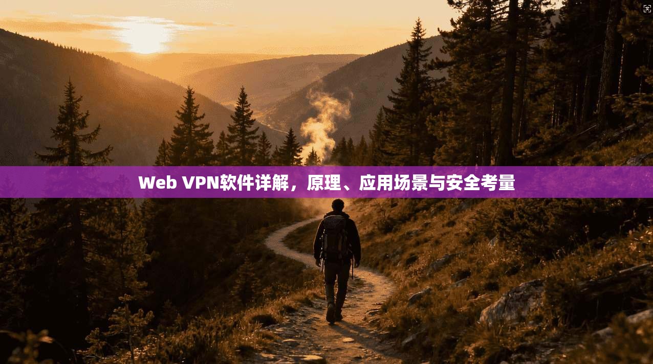Web VPN软件详解，原理、应用场景与安全考量