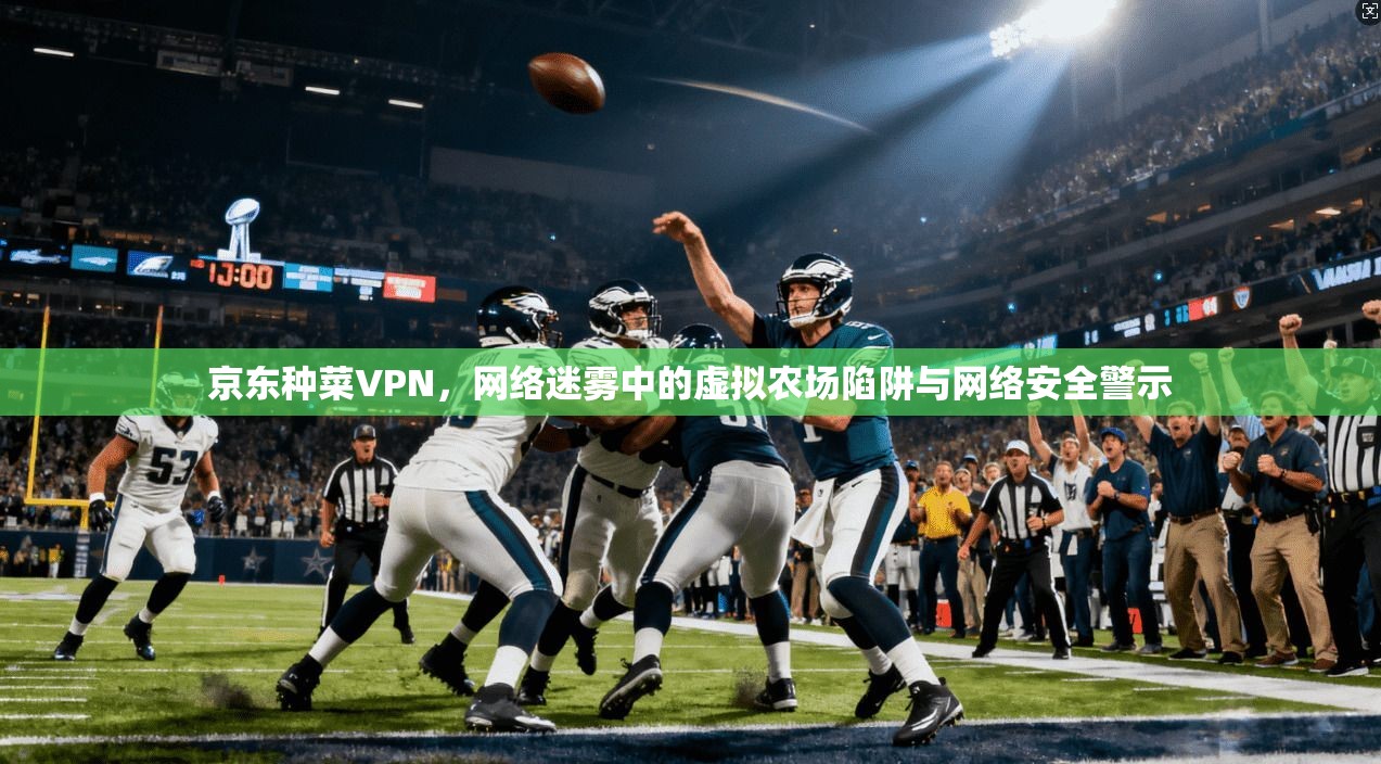京东种菜VPN，网络迷雾中的虚拟农场陷阱与网络安全警示