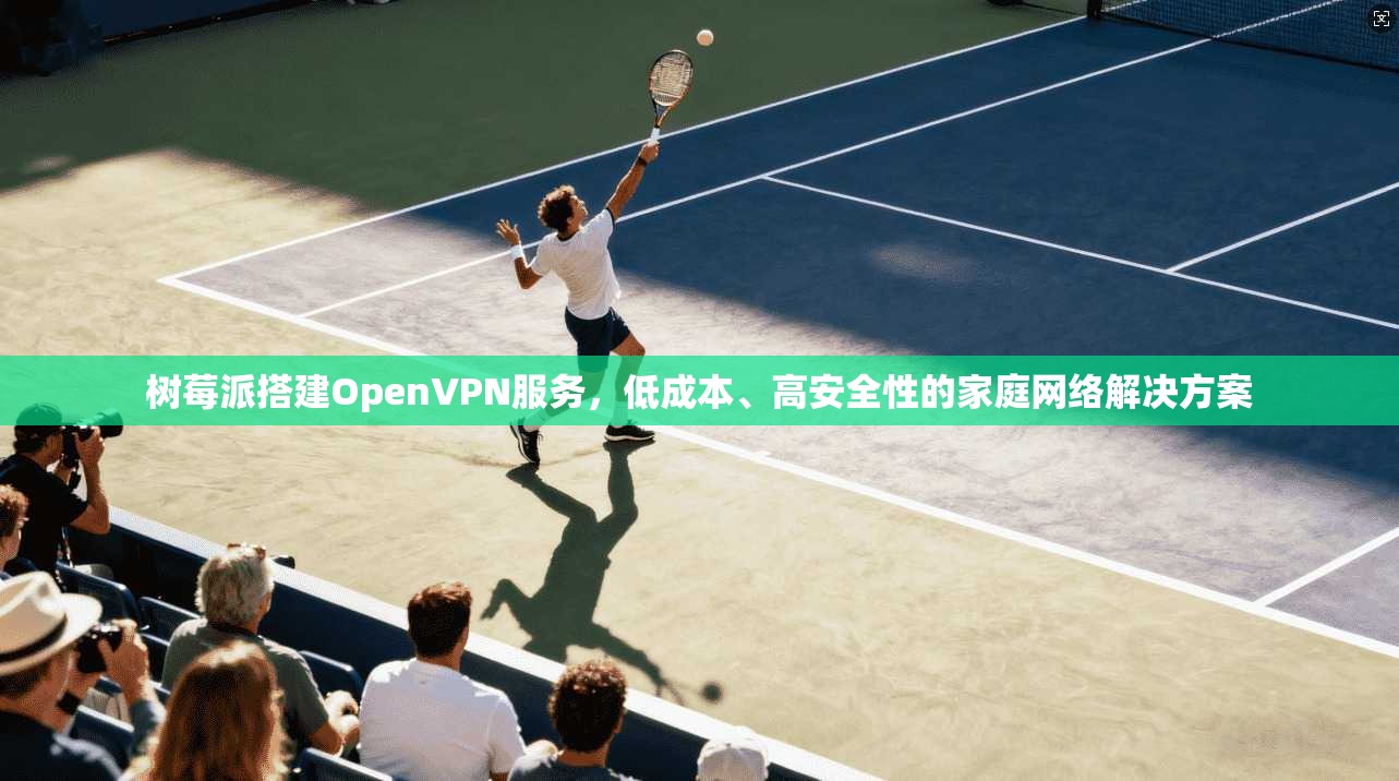 树莓派搭建OpenVPN服务，低成本、高安全性的家庭网络解决方案