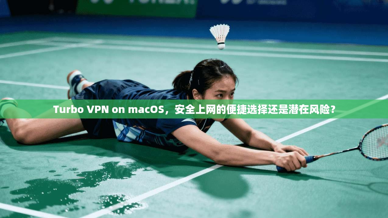Turbo VPN on macOS，安全上网的便捷选择还是潜在风险？