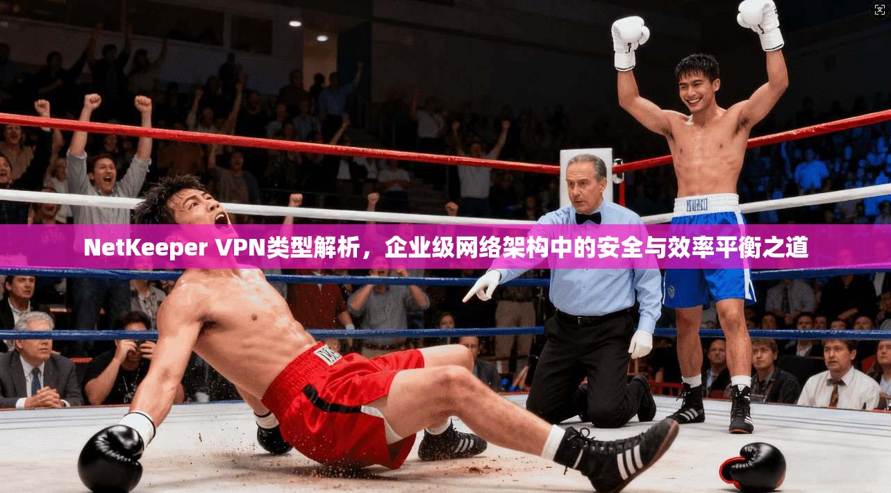 NetKeeper VPN类型解析，企业级网络架构中的安全与效率平衡之道