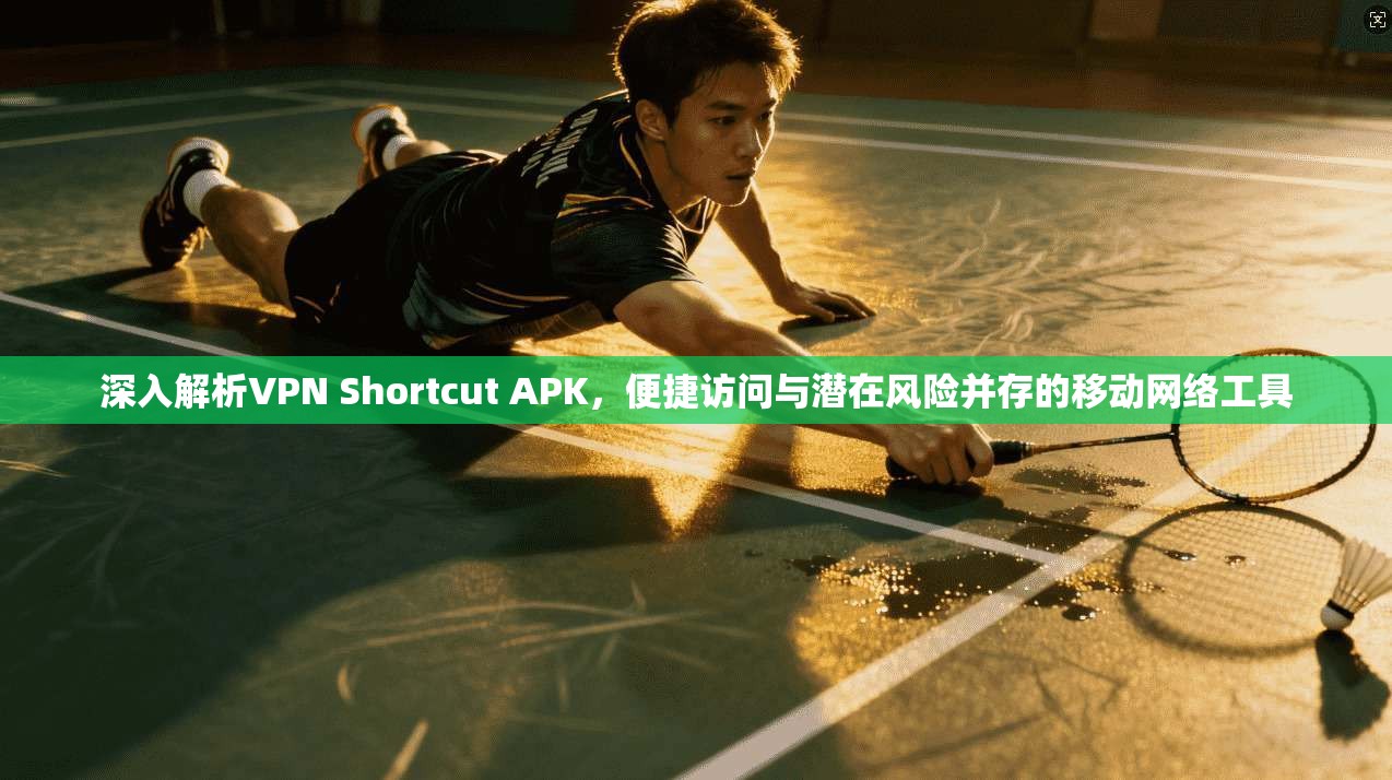 深入解析VPN Shortcut APK，便捷访问与潜在风险并存的移动网络工具