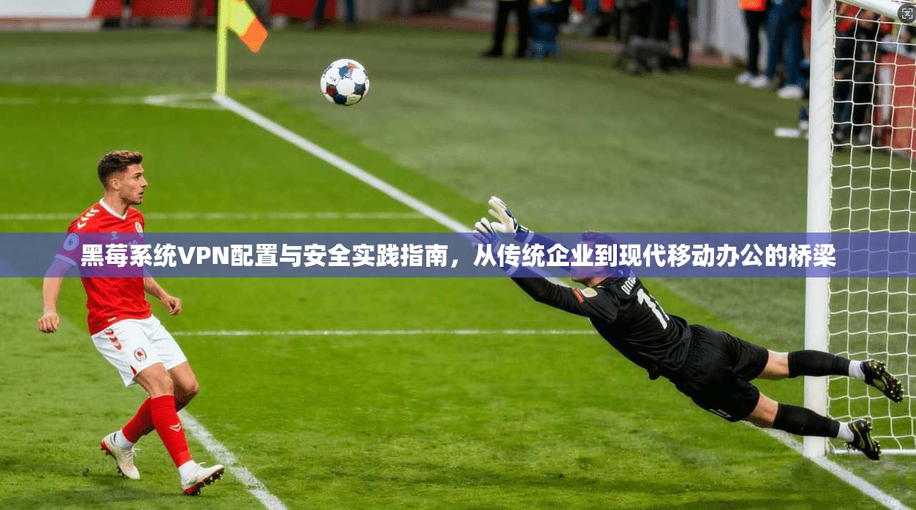 黑莓系统VPN配置与安全实践指南，从传统企业到现代移动办公的桥梁
