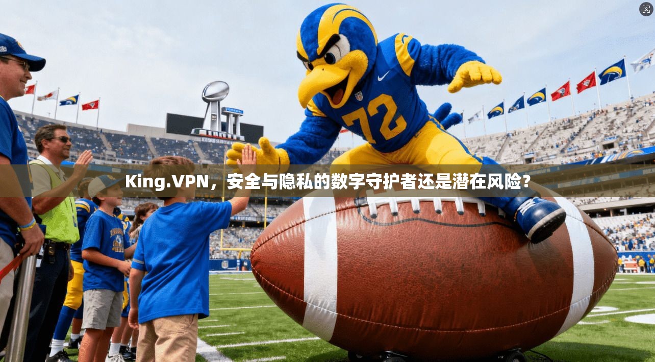 King.VPN，安全与隐私的数字守护者还是潜在风险？