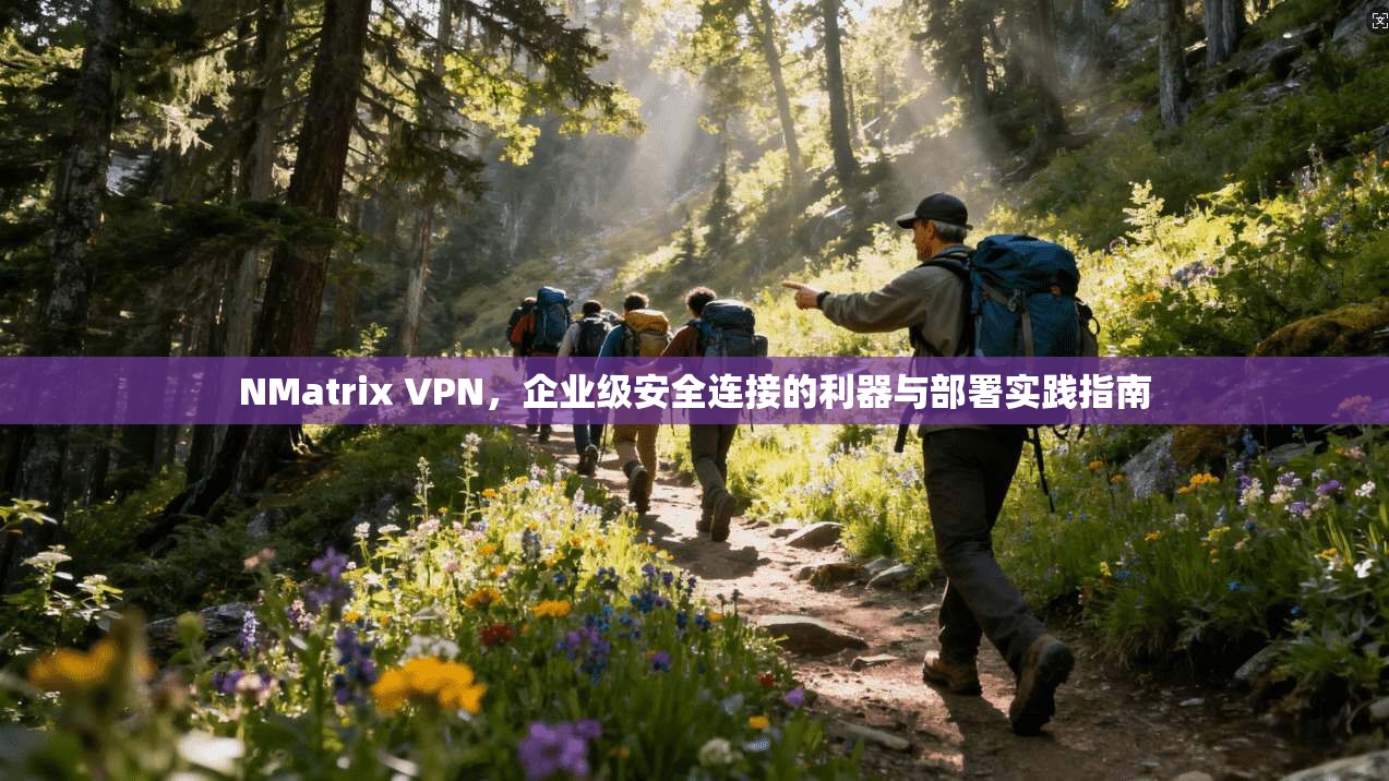 NMatrix VPN，企业级安全连接的利器与部署实践指南