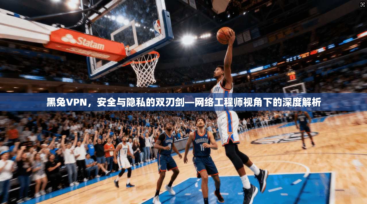 黑兔VPN，安全与隐私的双刃剑—网络工程师视角下的深度解析