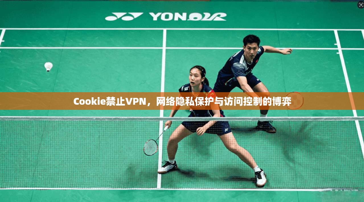 Cookie禁止VPN，网络隐私保护与访问控制的博弈