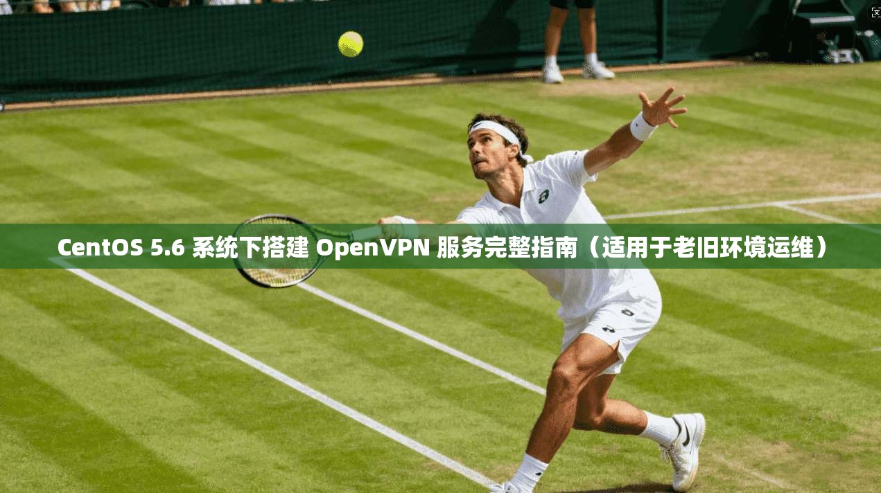 CentOS 5.6 系统下搭建 OpenVPN 服务完整指南（适用于老旧环境运维）