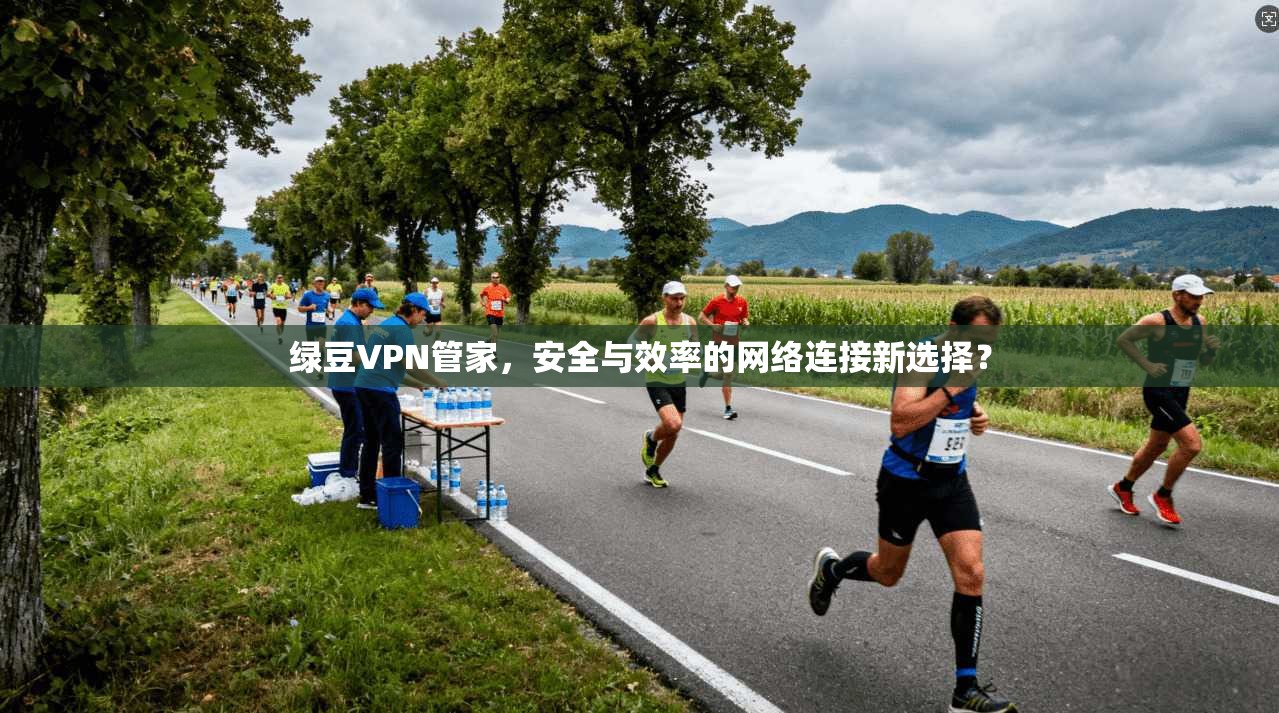绿豆VPN管家，安全与效率的网络连接新选择？