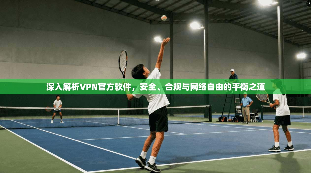 深入解析VPN官方软件，安全、合规与网络自由的平衡之道