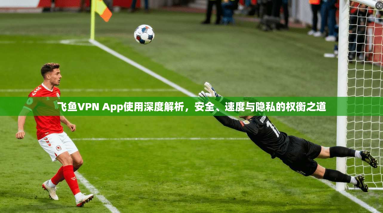 飞鱼VPN App使用深度解析，安全、速度与隐私的权衡之道