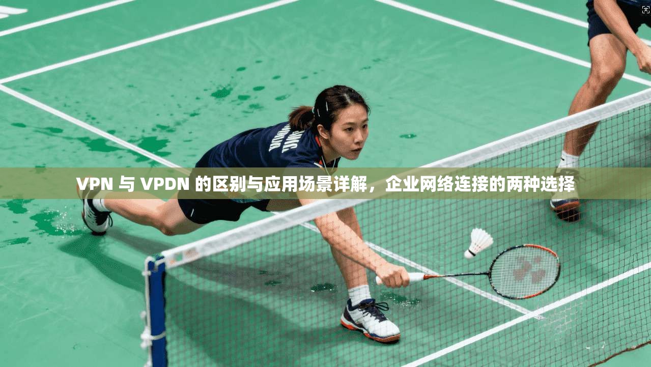 VPN 与 VPDN 的区别与应用场景详解，企业网络连接的两种选择