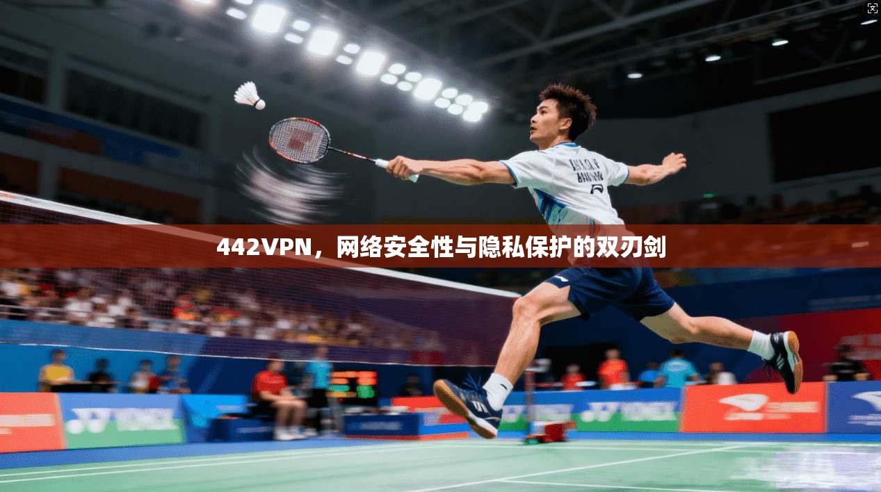 442VPN，网络安全性与隐私保护的双刃剑