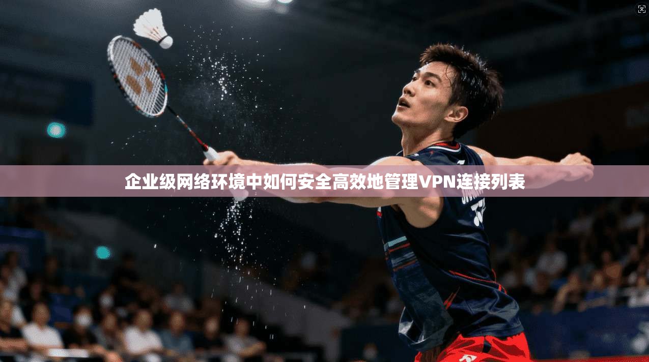 企业级网络环境中如何安全高效地管理VPN连接列表