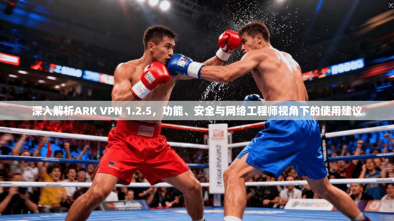 深入解析ARK VPN 1.2.5，功能、安全与网络工程师视角下的使用建议