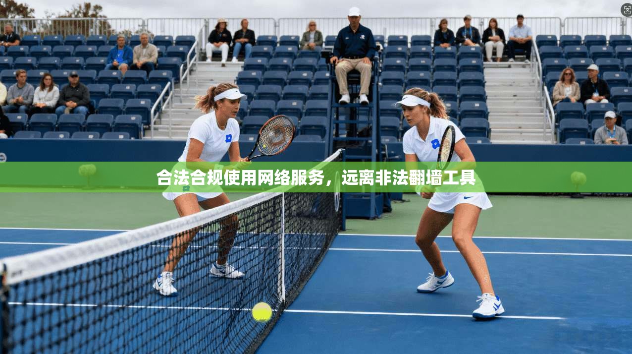 合法合规使用网络服务，远离非法翻墙工具