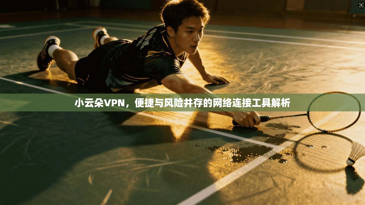 小云朵VPN，便捷与风险并存的网络连接工具解析