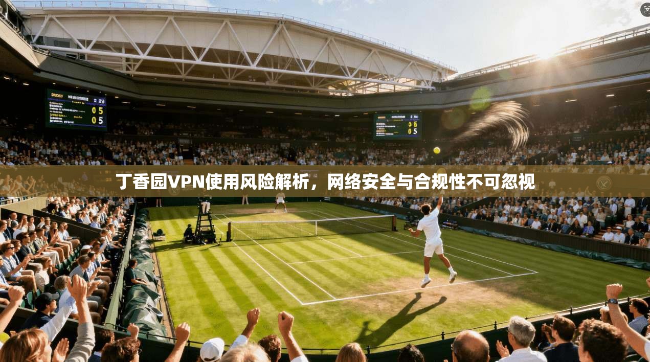 丁香园VPN使用风险解析，网络安全与合规性不可忽视