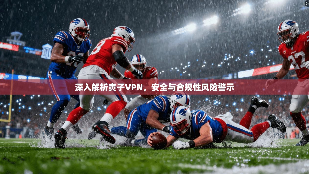深入解析寅子VPN，安全与合规性风险警示