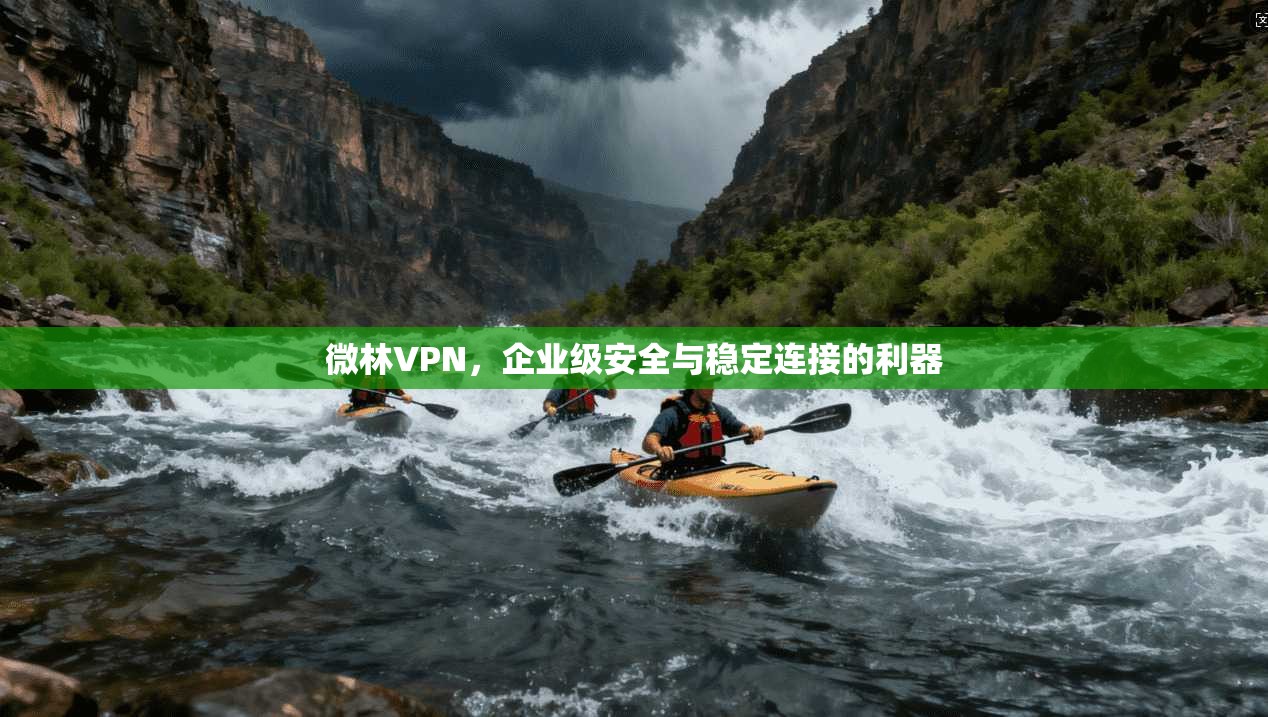 微林VPN，企业级安全与稳定连接的利器