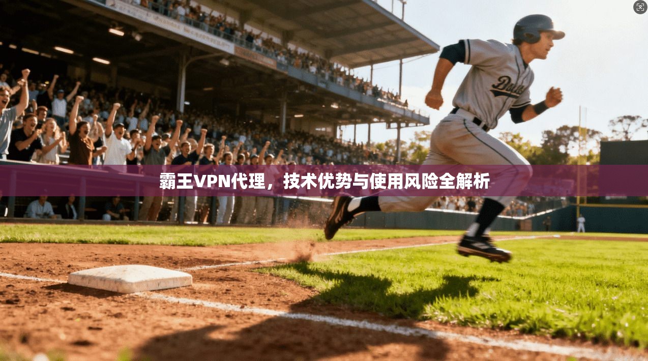 霸王VPN代理，技术优势与使用风险全解析