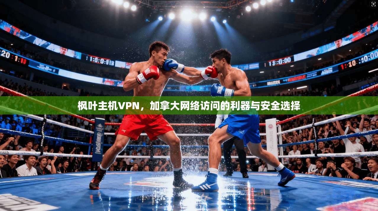 枫叶主机VPN，加拿大网络访问的利器与安全选择