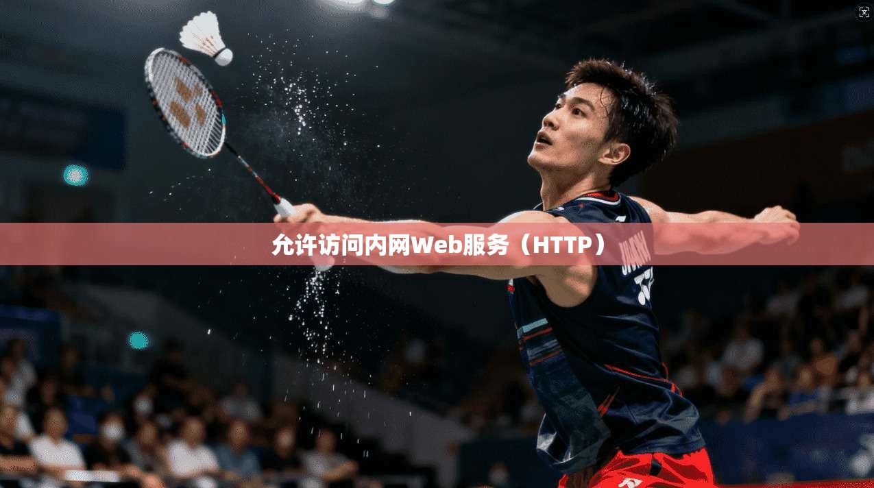 允许访问内网Web服务（HTTP）