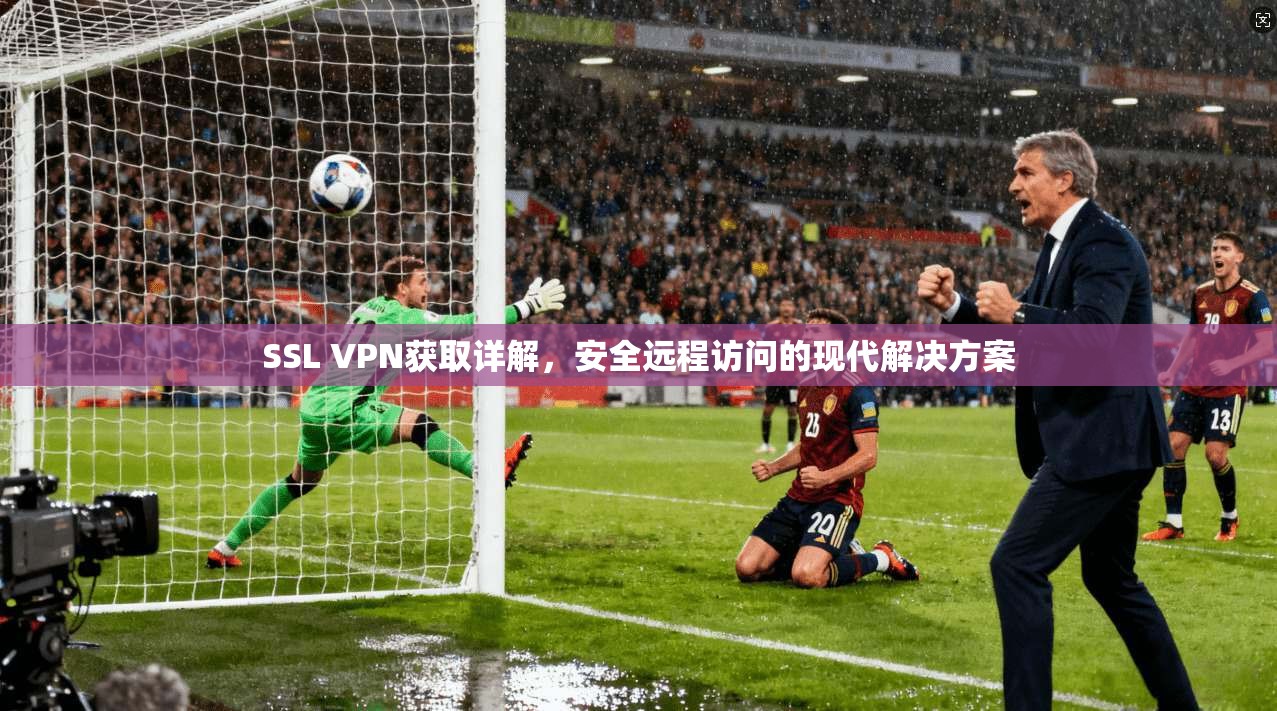 SSL VPN获取详解，安全远程访问的现代解决方案