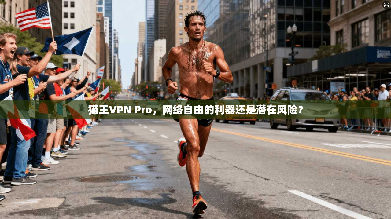 猫王VPN Pro，网络自由的利器还是潜在风险？
