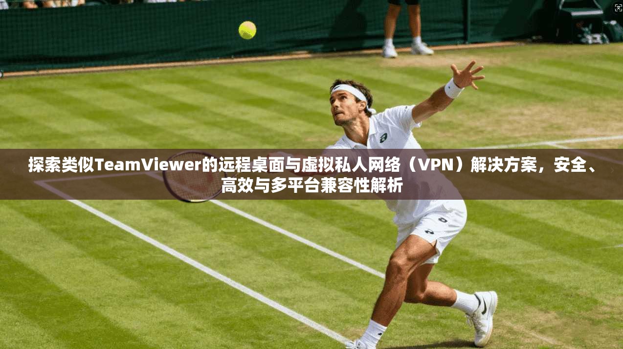 探索类似TeamViewer的远程桌面与虚拟私人网络（VPN）解决方案，安全、高效与多平台兼容性解析