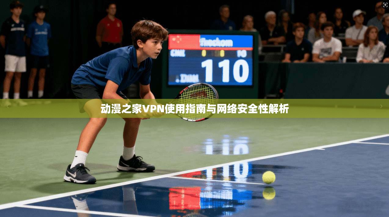 动漫之家VPN使用指南与网络安全性解析