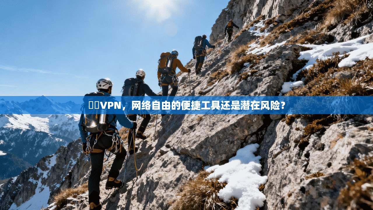 貍貓VPN，网络自由的便捷工具还是潜在风险？