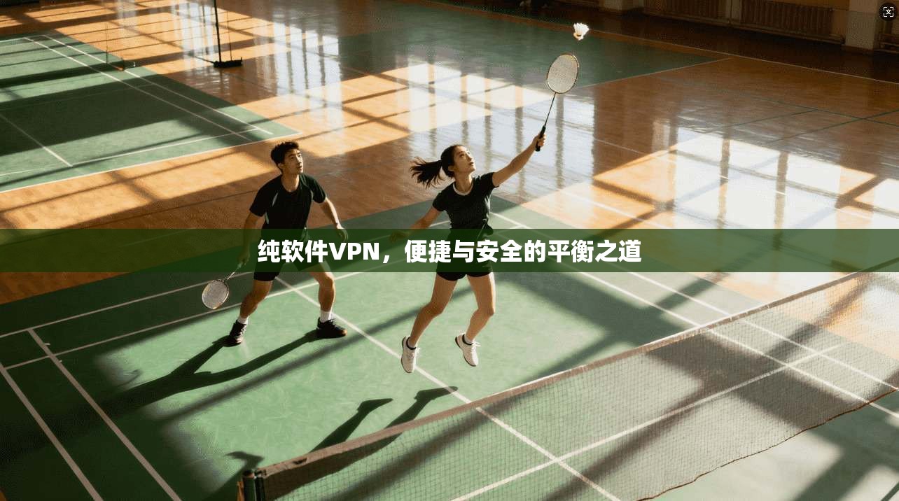 纯软件VPN，便捷与安全的平衡之道