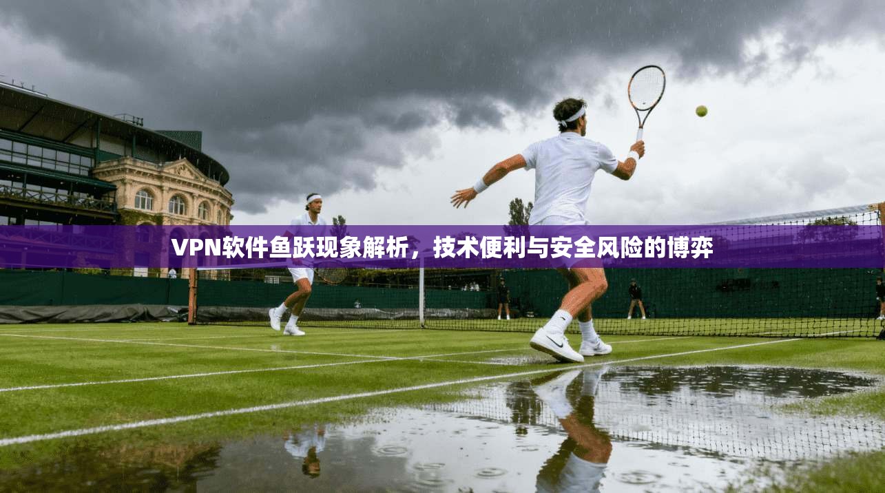 VPN软件鱼跃现象解析，技术便利与安全风险的博弈